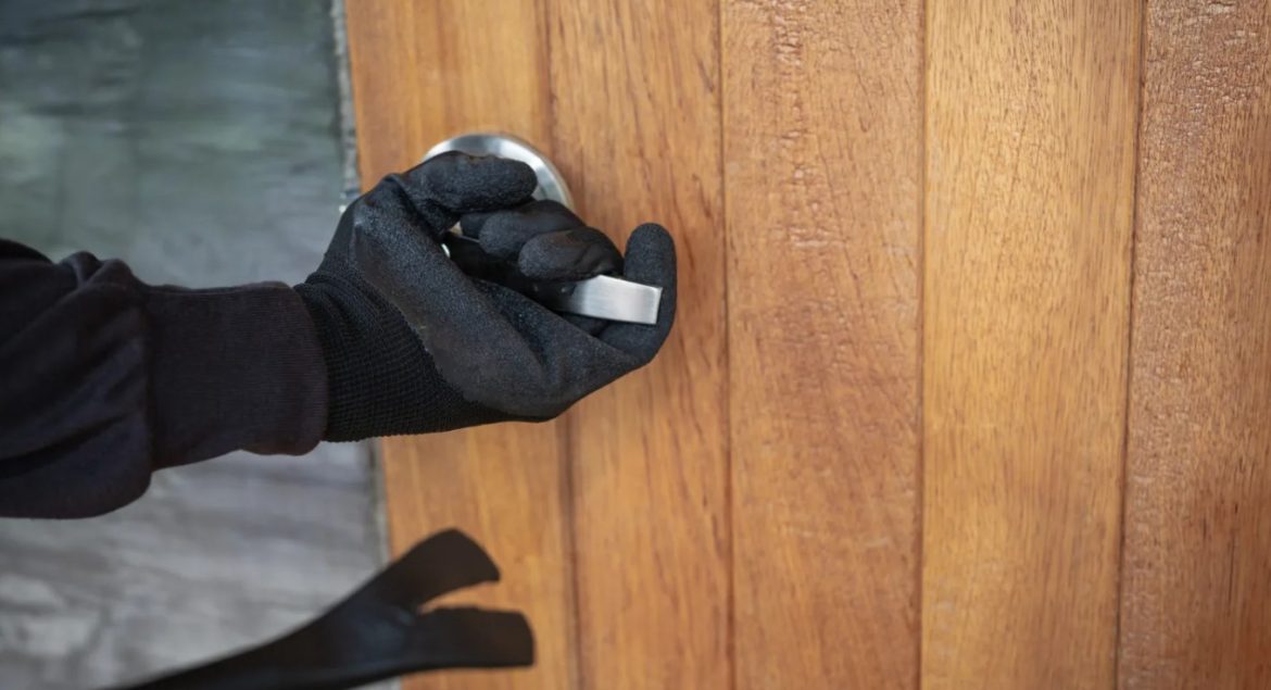 Dados imprecisos e falta de sistema único integrado ainda nos deixam no escuro contra a violência - Portal Security